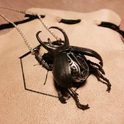 Beetle in Sterling silver